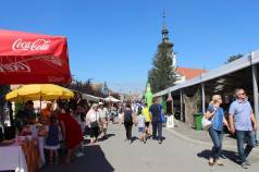 Mini IMG 8131